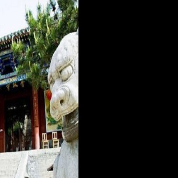 普救寺塔 - 图片3