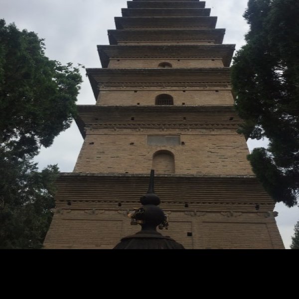 普救寺塔 - 图片7