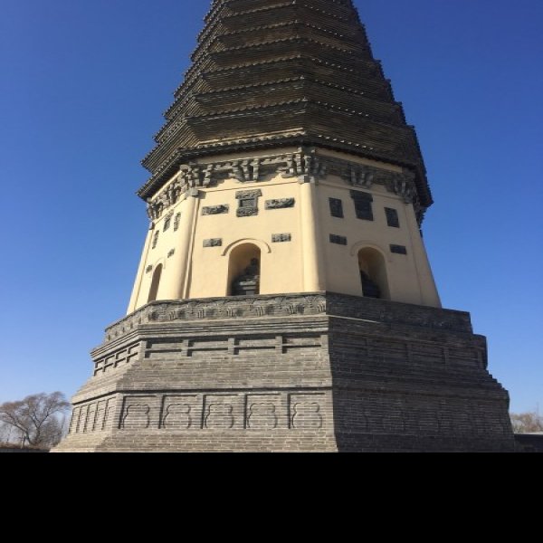 开原崇寿寺塔 - 图片3