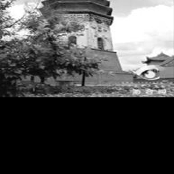 开原崇寿寺塔 - 图片4