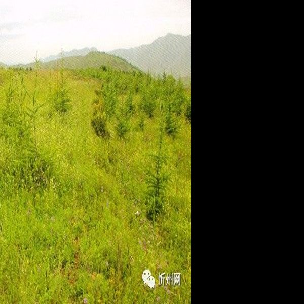 汾阳宫遗址 - 图片3