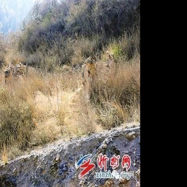 汾阳宫遗址 - 图片4