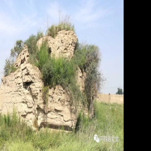 丰州故城遗址 - 图片7