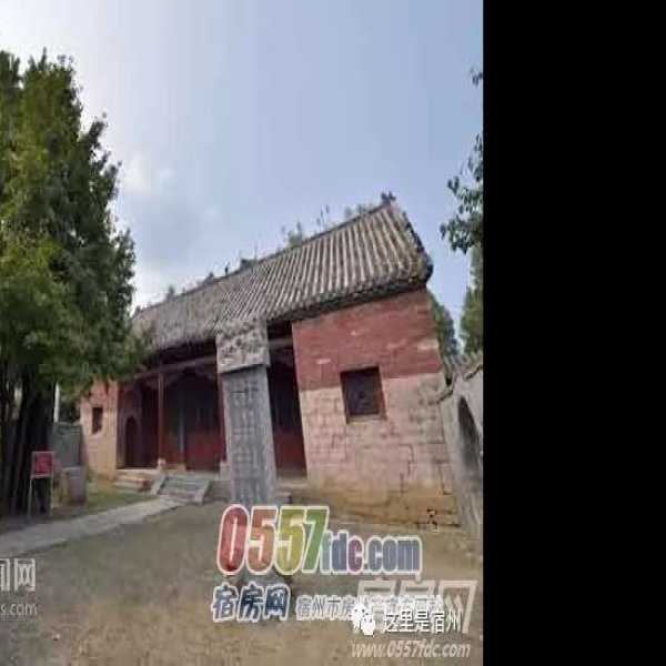 金寨遗址 - 图片7