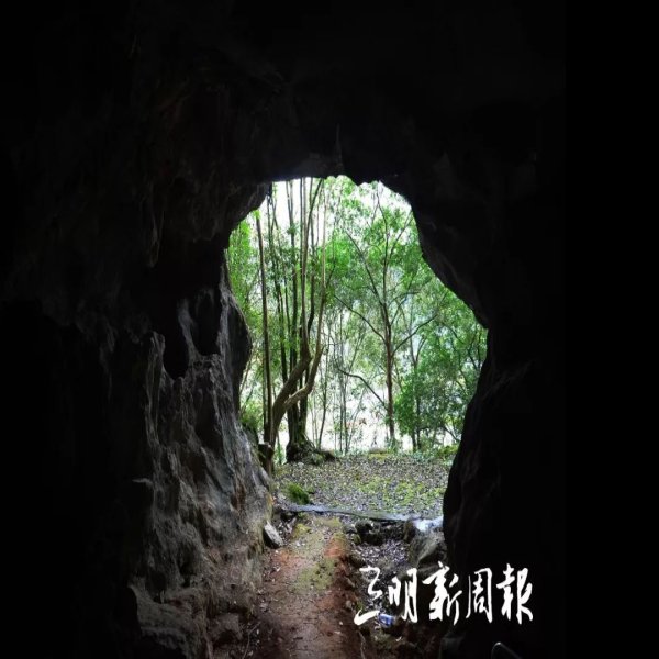 岩仔洞遗址 - 图片10
