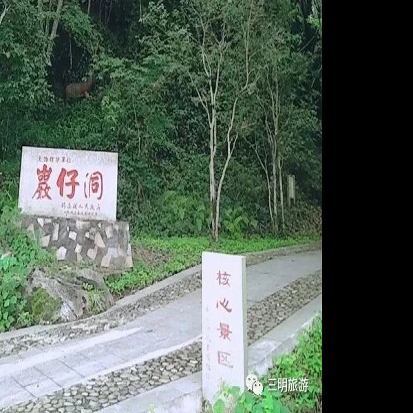 岩仔洞遗址 - 图片7