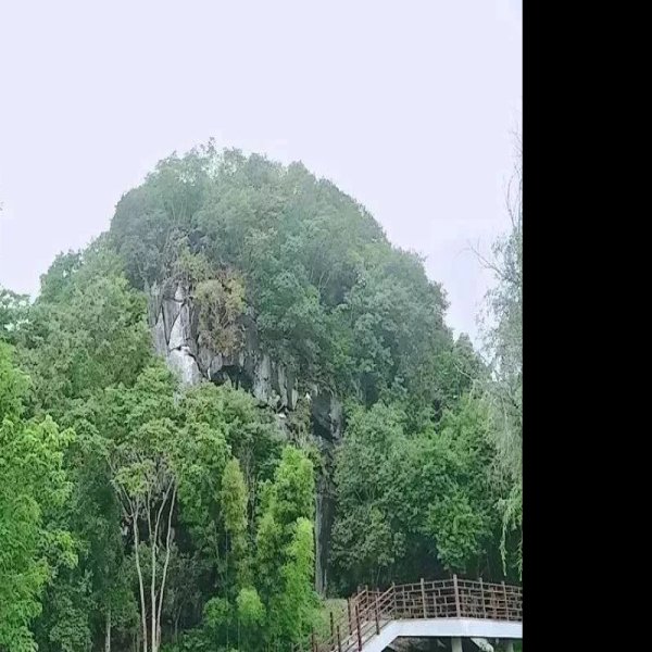 岩仔洞遗址 - 图片9