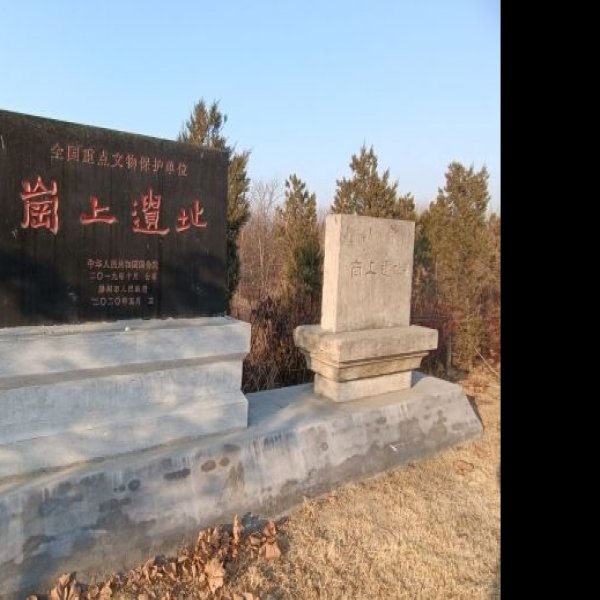 岗上遗址 - 图片2
