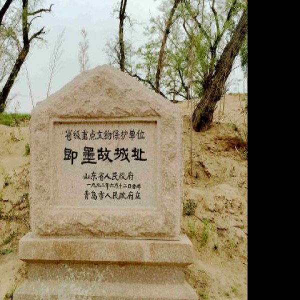 曲城故城遗址 - 图片10