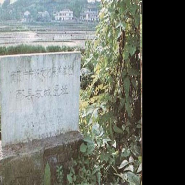 曲城故城遗址 - 图片9