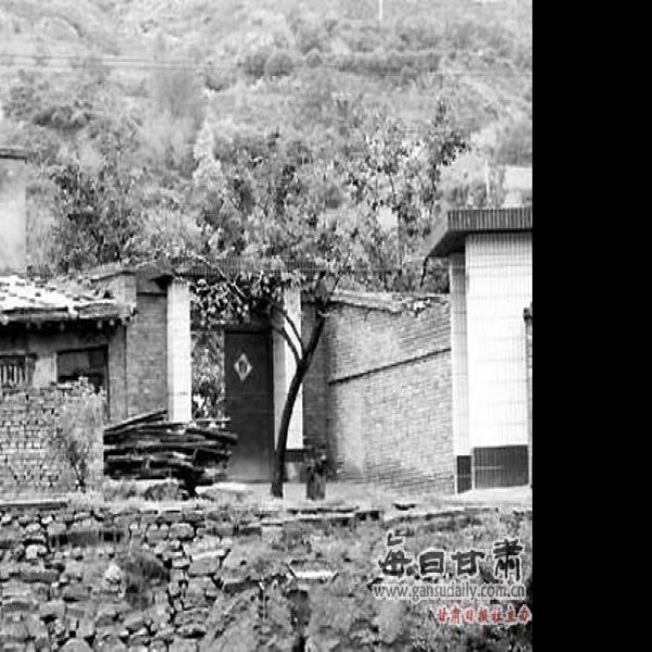 叶家湾遗址 - 图片8