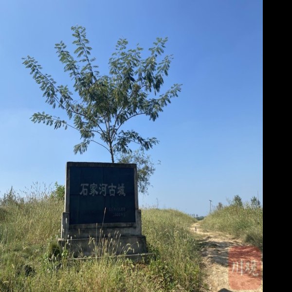 皮家河遗址 - 图片5