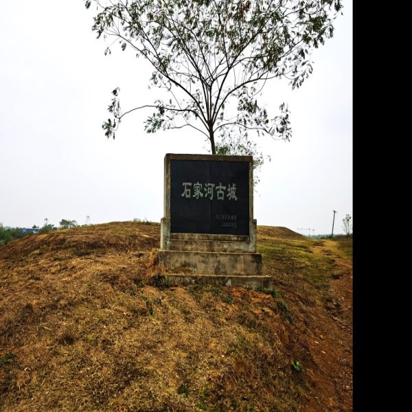 皮家河遗址 - 图片6