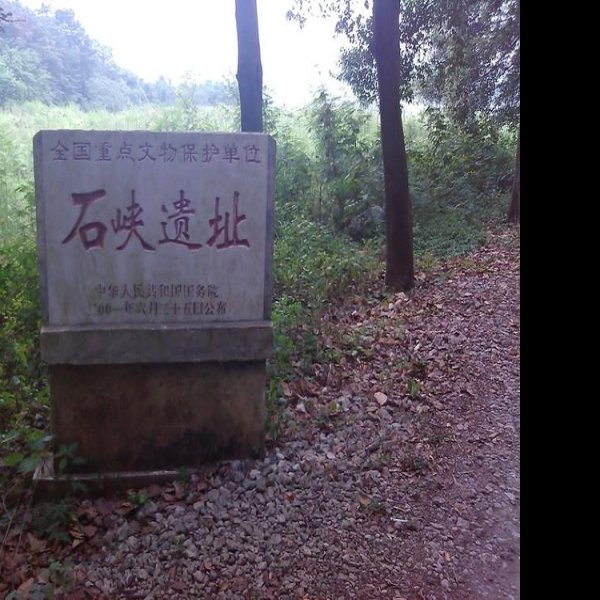 石峡遗址 - 图片2