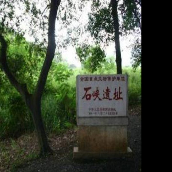 石峡遗址 - 图片6