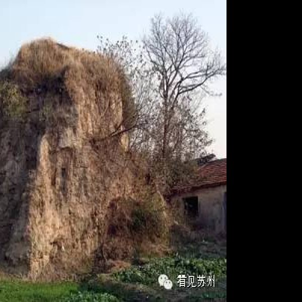 草鞋山遗址 - 图片3