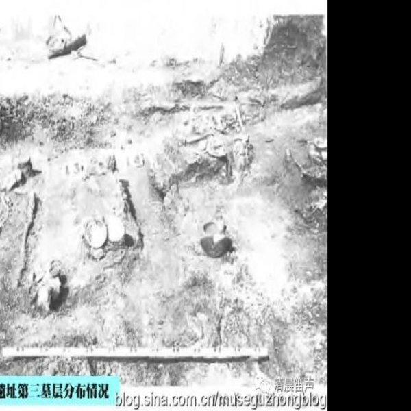 北阴阳营遗址 - 图片1