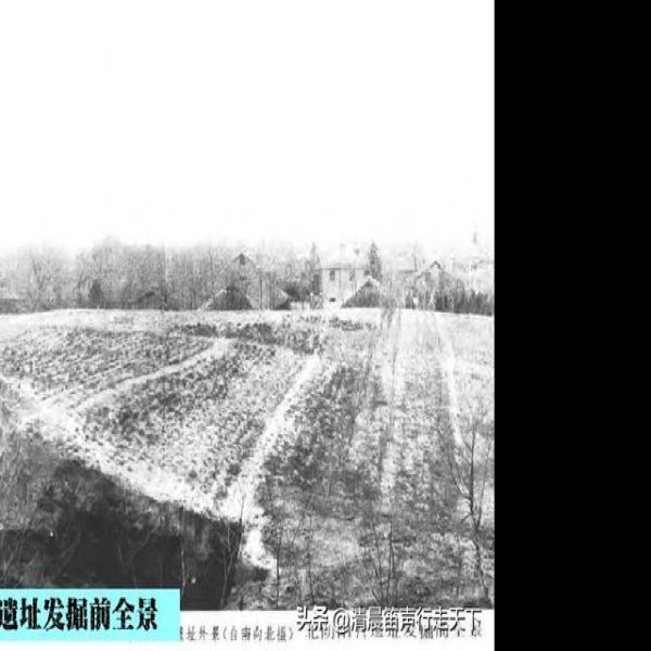 北阴阳营遗址 - 图片2