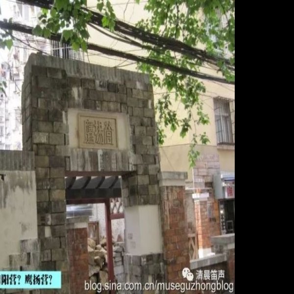 北阴阳营遗址 - 图片5
