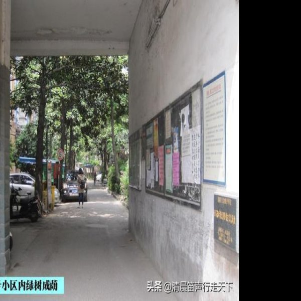 北阴阳营遗址 - 图片9