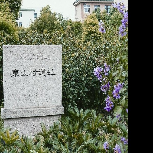 东山村遗址 - 图片1