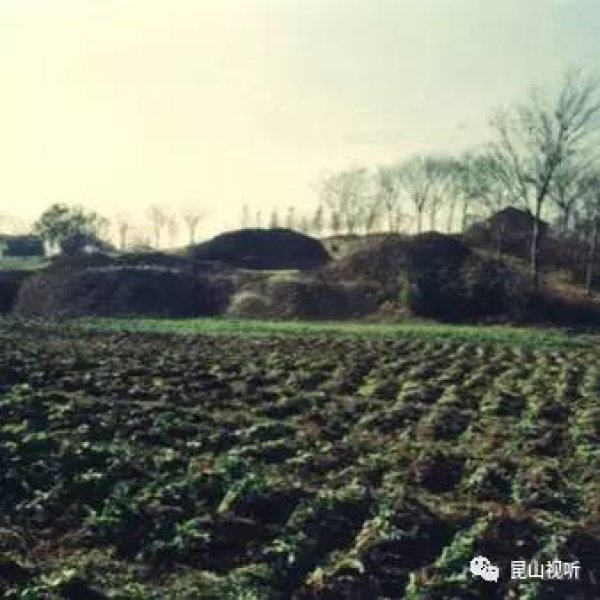 赵陵山遗址 - 图片3