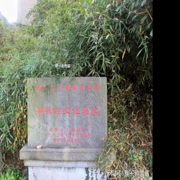 神墩遗址 - 图片3
