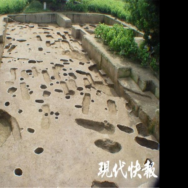神墩遗址 - 图片6