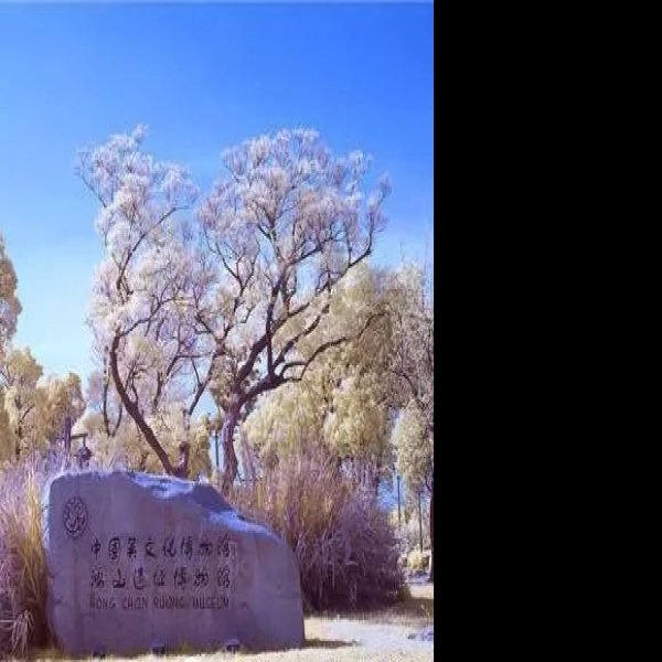 鸿山墓群 - 图片10