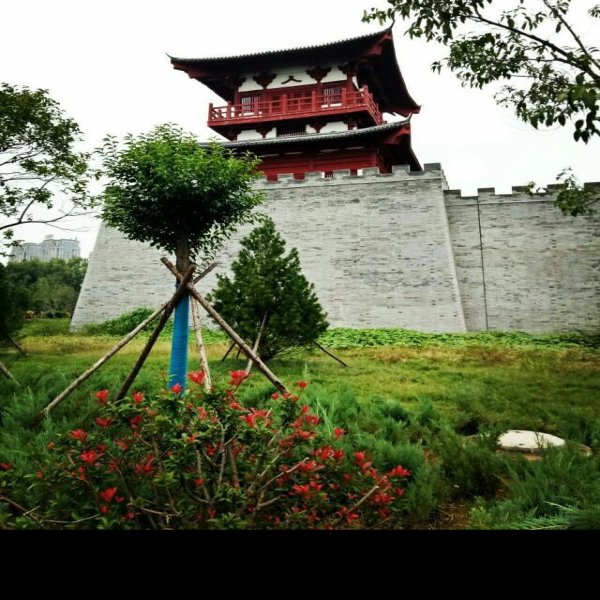 洛阳城墙 - 图片5