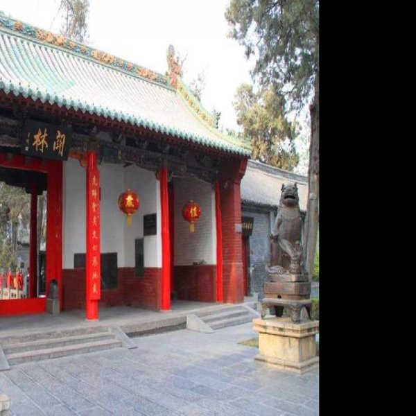 关林 - 图片5