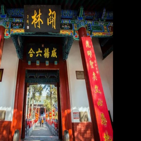 关林 - 图片8