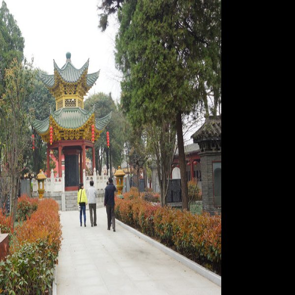 医圣祠 - 图片7