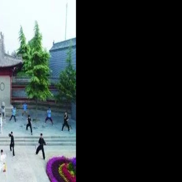 陈家沟太极拳祖祠 - 图片3