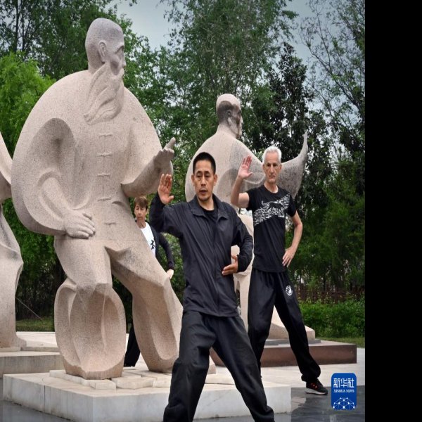 陈家沟太极拳祖祠 - 图片4