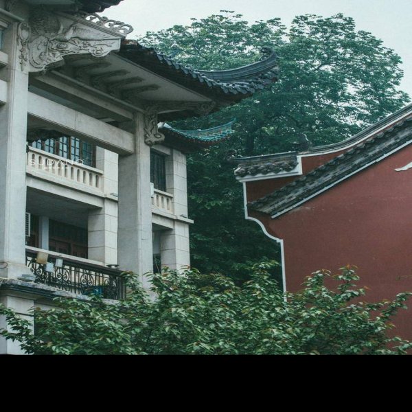 武汉长春观 - 图片6