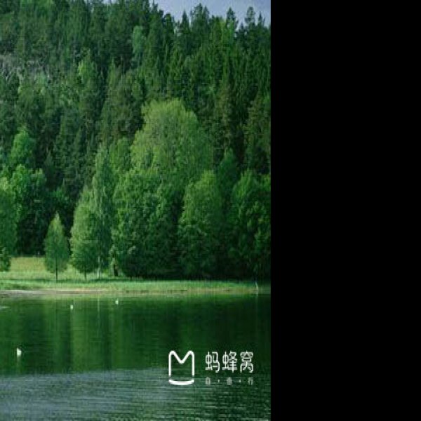 洞庭湖君山 - 图片10