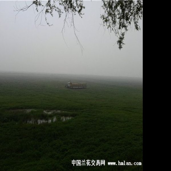 洞庭湖君山 - 图片3