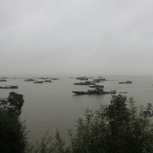 洞庭湖君山 - 图片4