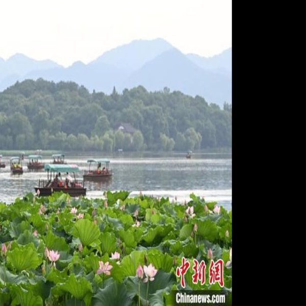 浙江杭州西湖风景区 - 图片8