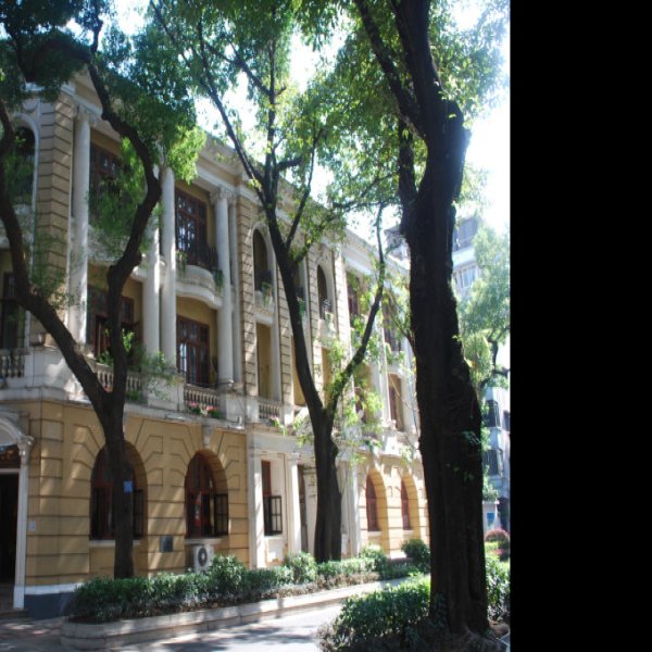 广州沙面建筑群 - 图片9