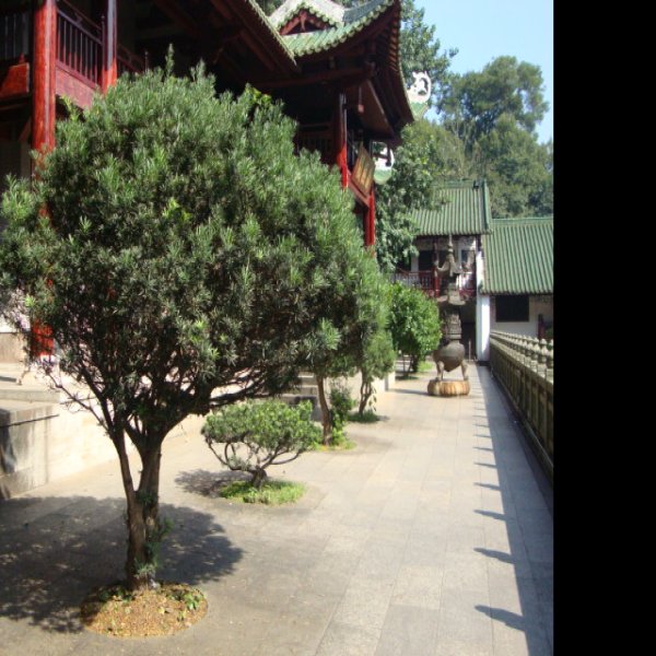韶关南华寺 - 图片9