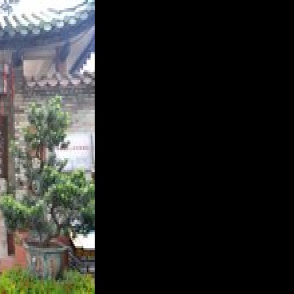 东莞可园 - 图片8