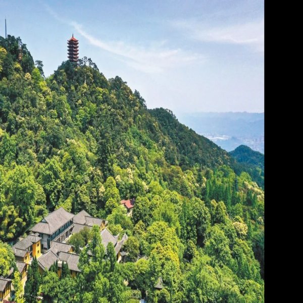 重庆缙云山 - 图片1