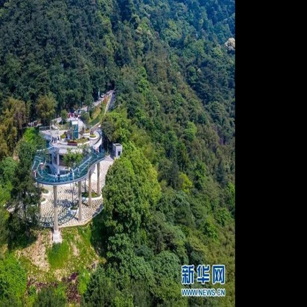 重庆缙云山 - 图片10