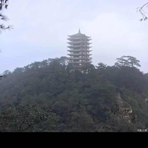 重庆缙云山 - 图片2