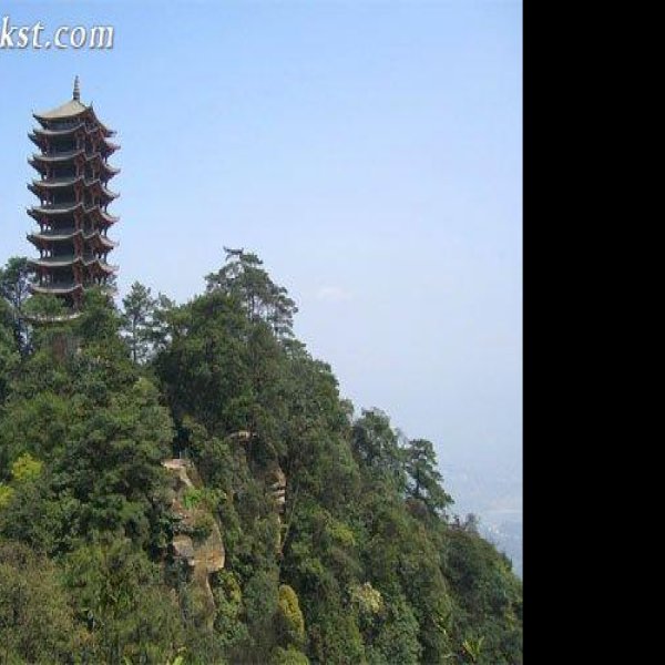 重庆缙云山 - 图片3