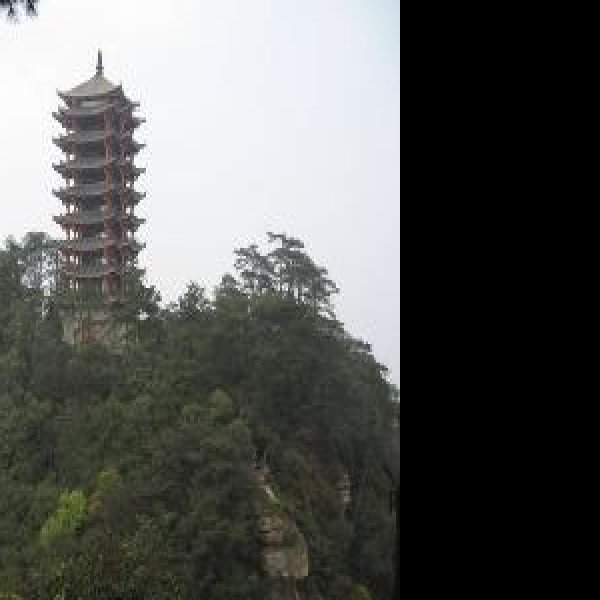 重庆缙云山 - 图片5