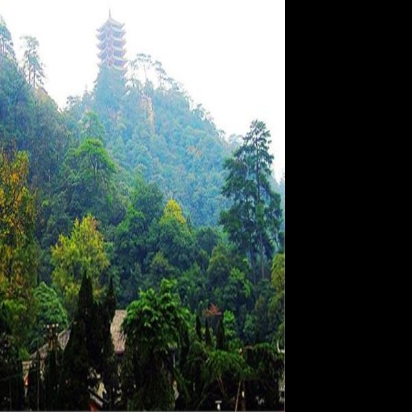 重庆缙云山 - 图片8