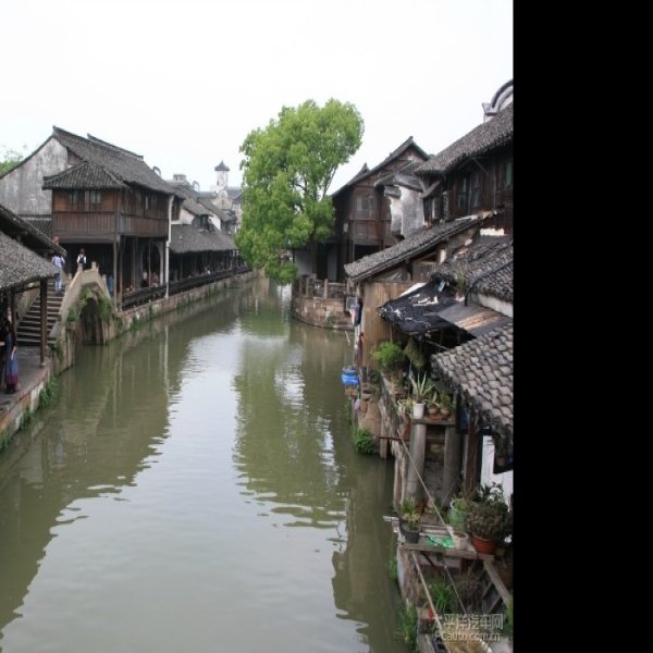 浙江乌镇古镇 - 图片3